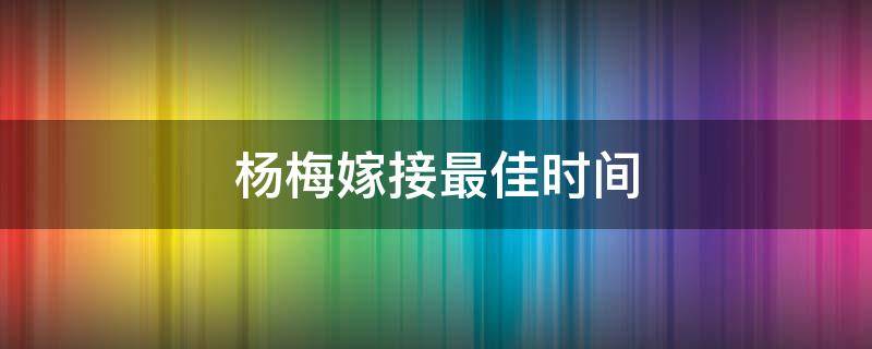 杨梅嫁接最佳时间 杨梅嫁接最佳时间几月份