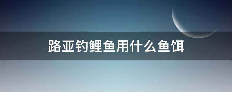 路亚钓鲤鱼用什么鱼饵 路亚竿钓鲤鱼用什么饵