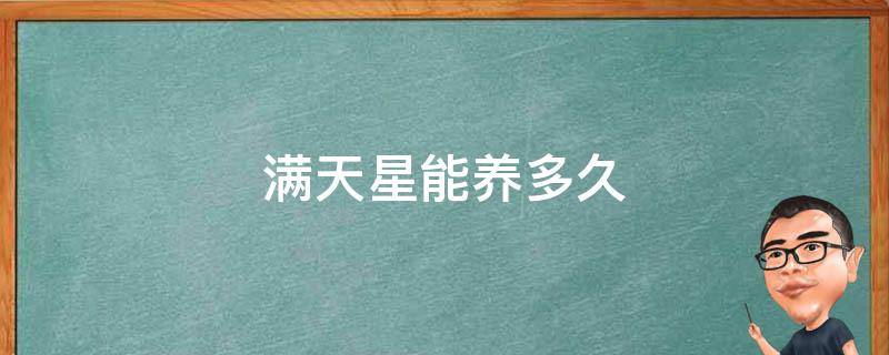 满天星能养多久 满天星如何可以养的时间长点