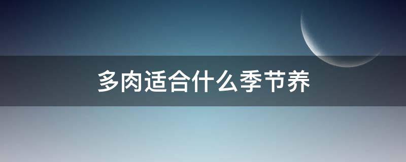 多肉适合什么季节养（多肉什么季节最好养活）