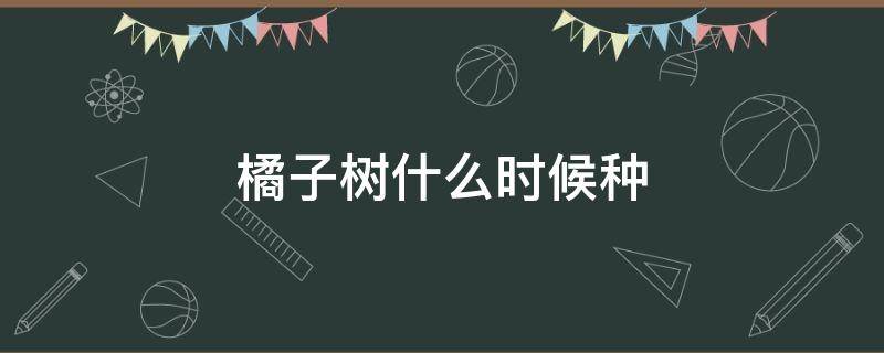 橘子树什么时候种 桔子树什么时候种植最好