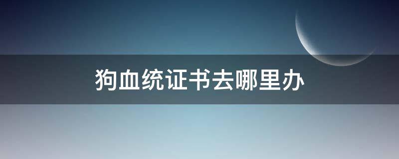 狗血统证书去哪里办 办理狗血统证去哪里办?