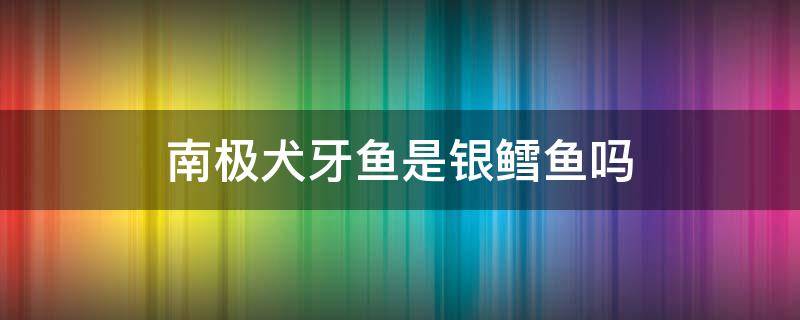 南极犬牙鱼是银鳕鱼吗 南极银鳕鱼是真鳕鱼么