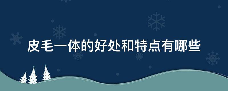 皮毛一体的好处和特点有哪些 皮毛一体的卖点和好处