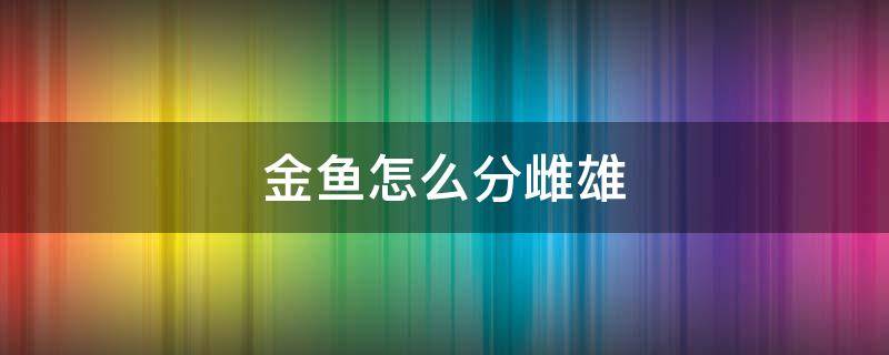 金鱼怎么分雌雄（金鱼怎么分雌雄图片）