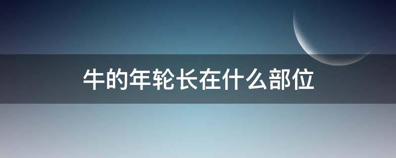 牛的年轮长在什么部位 牛的年轮长在什么部位动物细胞中的能量转换器是什么