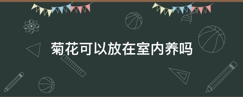 菊花可以放在室内养吗（菊花不能放在室内养吗）