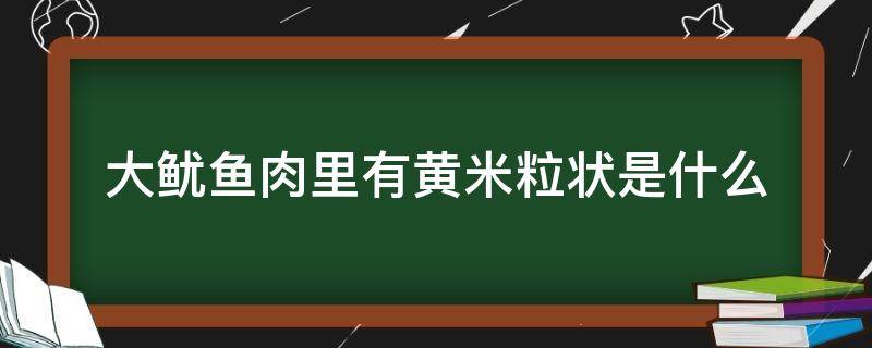 大鱿鱼肉里有黄米粒状是什么 干鱿鱼肉里面有黄米粒是什么