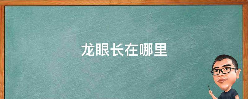 龙眼长在哪里 龙眼长在哪里?