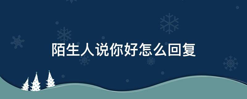 陌生人说你好怎么回复（陌生人说你好怎么回复比较有趣）