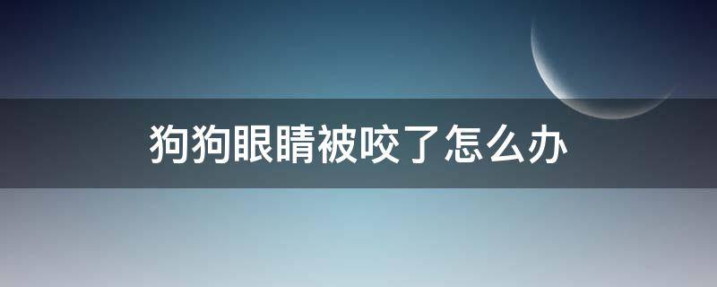 狗狗眼睛被咬了怎么办 狗狗被其他狗狗咬到眼睛