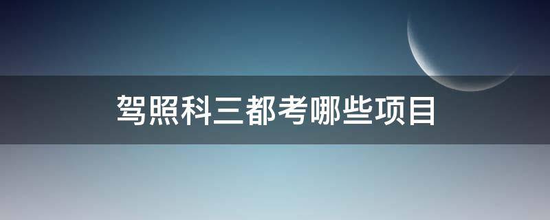 驾照科三都考哪些项目（驾照科三都考哪些项目临时停车）