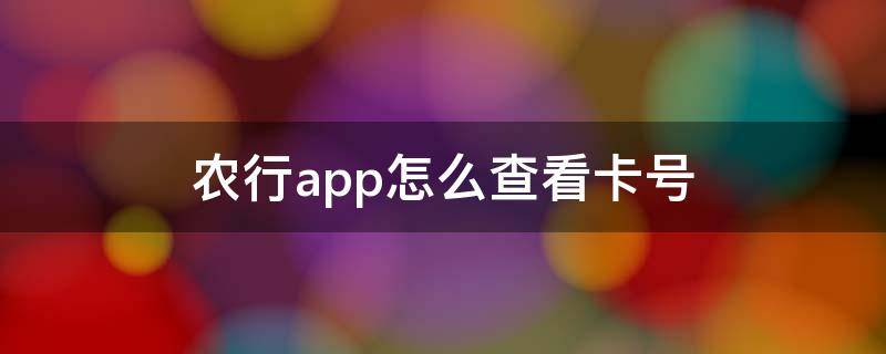 农行app怎么查看卡号（农行APP查看卡号）