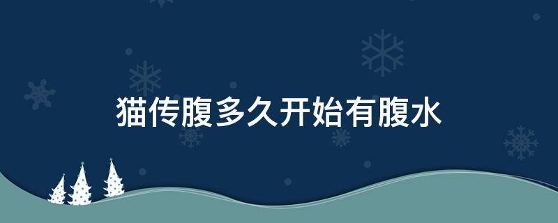 猫传腹多久开始有腹水 猫传腹有腹水还能活多久