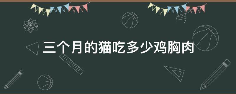 三个月的猫吃多少鸡胸肉 3个月小猫吃多少鸡胸肉