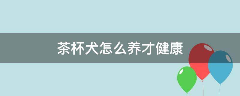 茶杯犬怎么养才健康 茶杯犬怎样才能养活