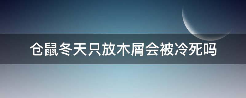 仓鼠冬天只放木屑会被冷死吗（仓鼠冬天只用木屑可以吗）