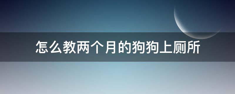 怎么教两个月的狗狗上厕所（两个月的小狗狗怎么教它上厕所）