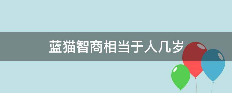 蓝猫智商相当于人几岁（蓝猫的智商是人几岁）