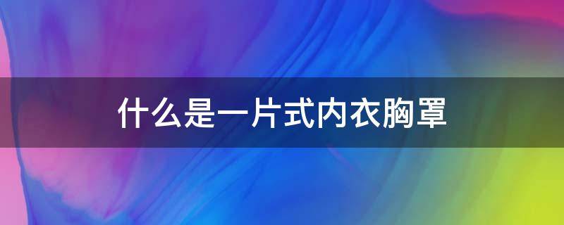 什么是一片式内衣胸罩 一片式内衣适合大胸吗