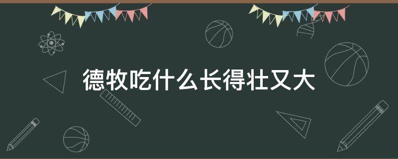 德牧吃什么长得壮又大 德牧如何饲养长的又高又壮?