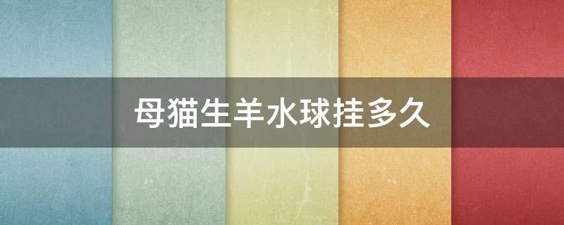 母猫生羊水球挂多久 母猫羊水球挂了10个小时