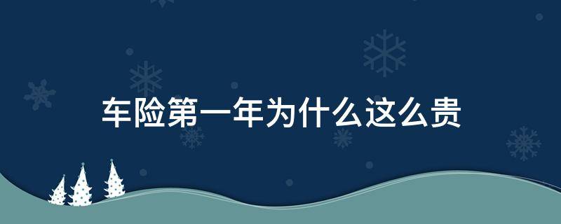 车险第一年为什么这么贵（车保险第一年为什么那么贵）