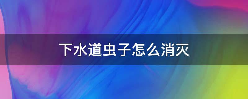 下水道虫子怎么消灭（如何除掉下水道虫子）