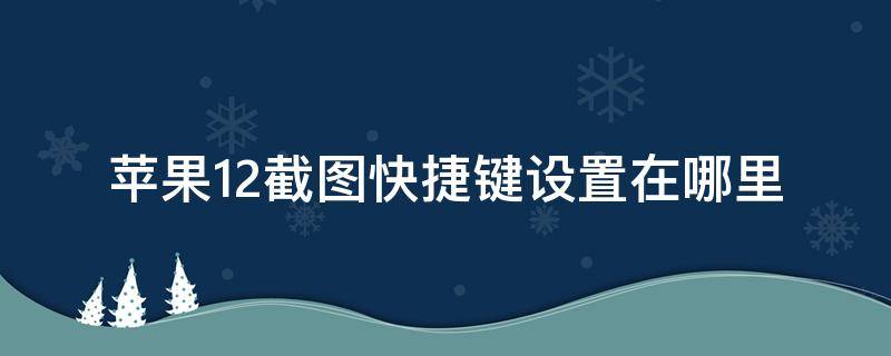 苹果12截图快捷键设置在哪里（苹果12手机截图快捷键设置方法）