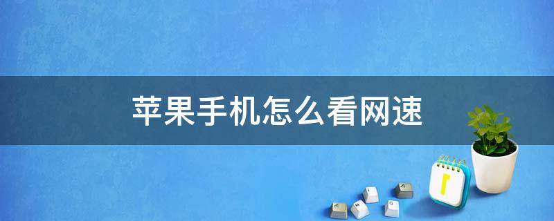 苹果手机怎么看网速 苹果手机怎么看网速是多少兆