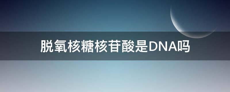 脱氧核糖核苷酸是DNA吗 脱氧核糖核苷酸是不是dna