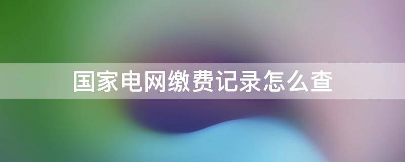 国家电网缴费记录怎么查（怎么查国网电力局缴费记录）