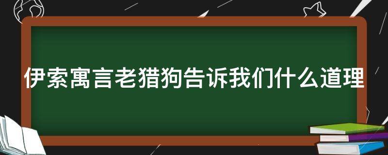 伊索寓言老猎狗告诉我们什么道理（伊索寓言老猎狗告诉我们什么道理呢）