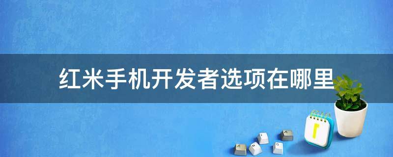 红米手机开发者选项在哪里 红米手机开发者选项在哪里设置