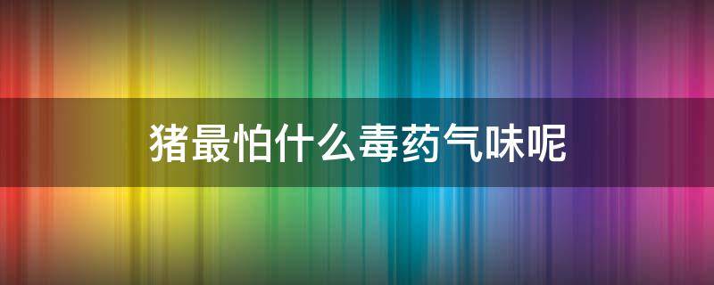 猪最怕什么毒药气味呢 猪怕毒气吗