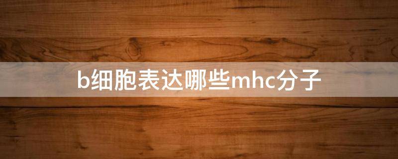 b细胞表达哪些mhc分子 b细胞表面有mhc