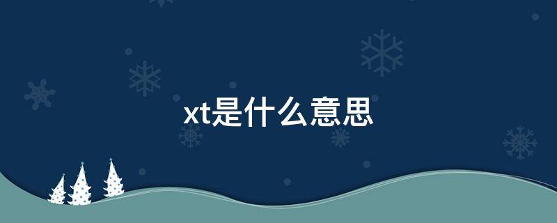 xt是什么意思（显卡xt是什么意思）