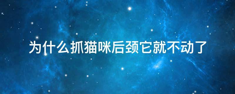 为什么抓猫咪后颈它就不动了（为什么抓猫的后颈肉它就不动了）