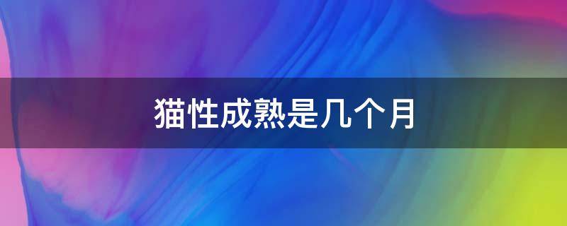 猫性成熟是几个月 家猫几个月性成熟