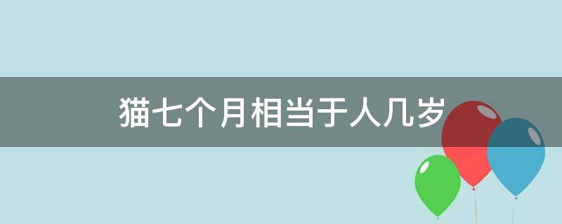 猫七个月相当于人几岁 猫七个月相当于人的多少岁