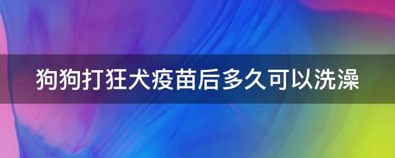 狗狗打狂犬疫苗后多久可以洗澡 狗狗打狂犬疫苗后多久可以出门