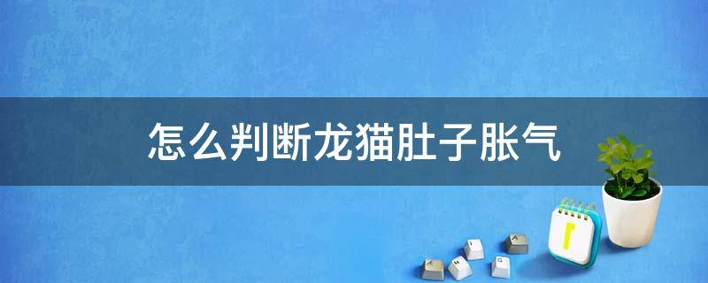 怎么判断龙猫肚子胀气 龙猫胀气肚子是软还是硬