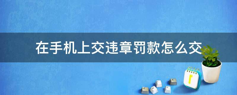 在手机上交违章罚款怎么交（手机上面交违章罚款怎么交法?）