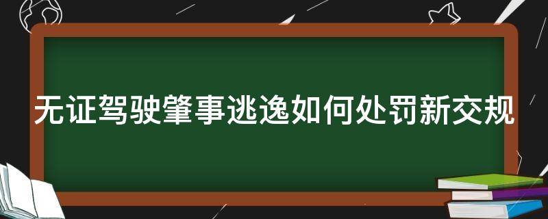 无证驾驶肇事逃逸如何处罚新交规 无证驾驶肇事逃逸后果是啥样