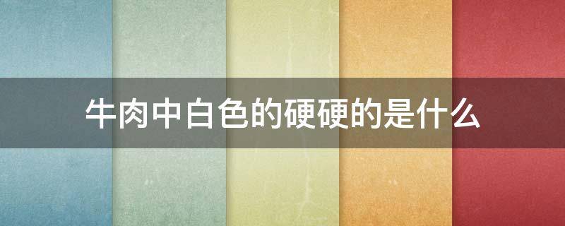 牛肉中白色的硬硬的是什么 牛肉里白色的特别硬的是什么