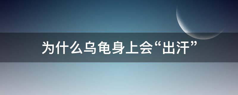 为什么乌龟身上会“出汗” 乌龟身上出汗是不是