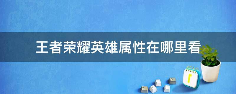 王者荣耀英雄属性在哪里看（王者荣耀局内怎么查看英雄属性）