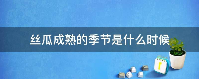 丝瓜成熟的季节是什么时候（丝瓜一般是在哪个季节）