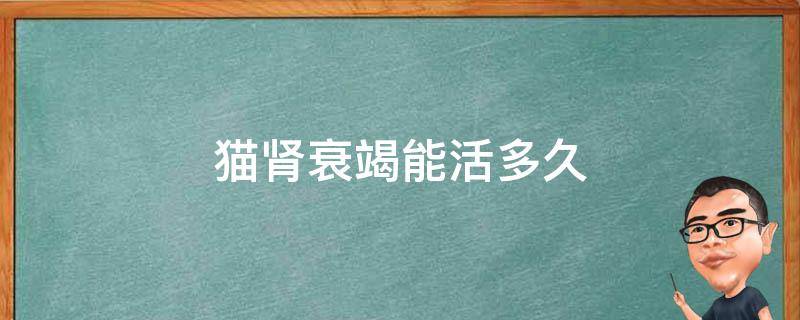 猫肾衰竭能活多久 猫肾脏衰竭还能活多久