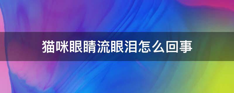 猫咪眼睛流眼泪怎么回事（猫咪流眼泪是怎么回事）